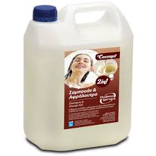 HYGIENE 2IN1 ΣΑΜΠΟΥΑΝ-ΑΦΡΟΛΟΥΤΡΟ COCO 4LT